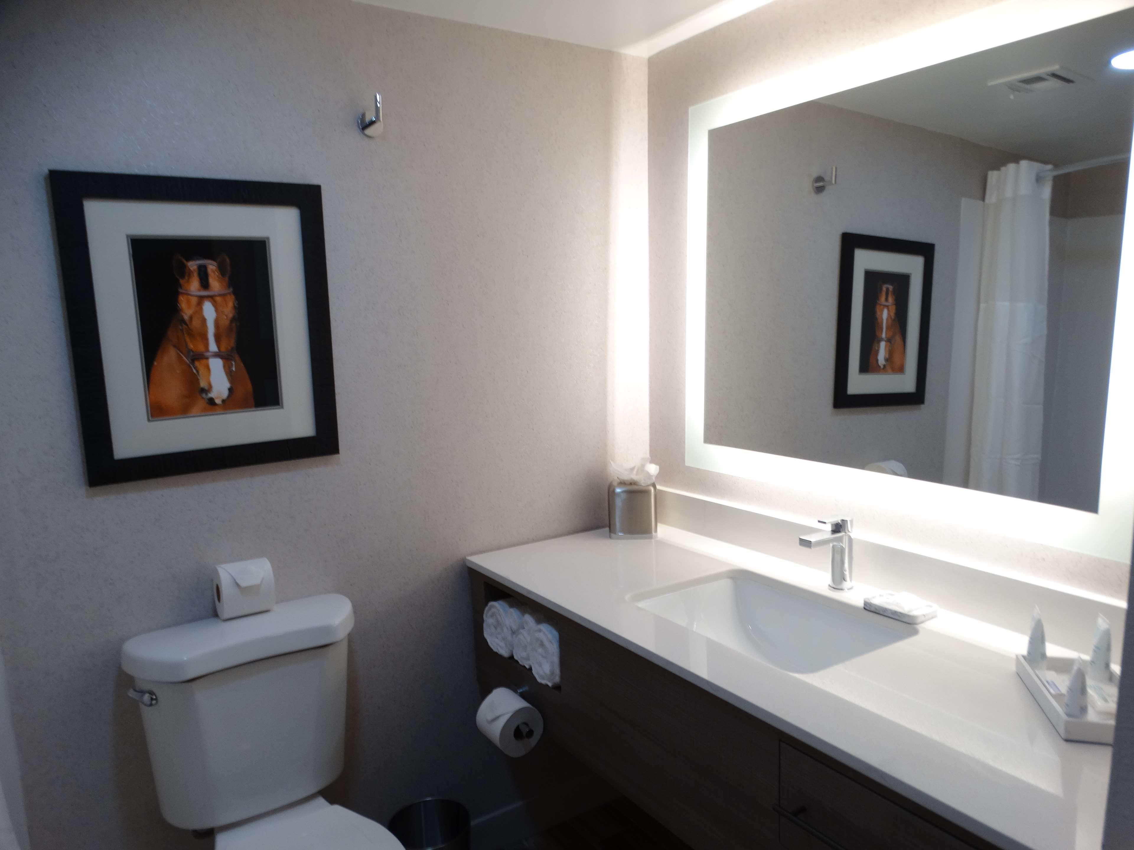 Aiden By Best Western Scottsdale North Dış mekan fotoğraf