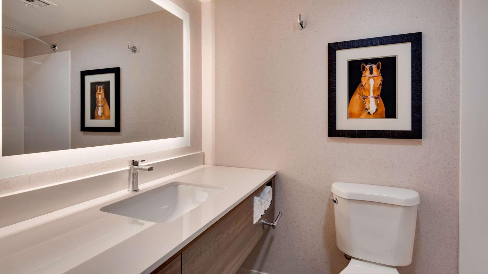 Aiden By Best Western Scottsdale North Dış mekan fotoğraf